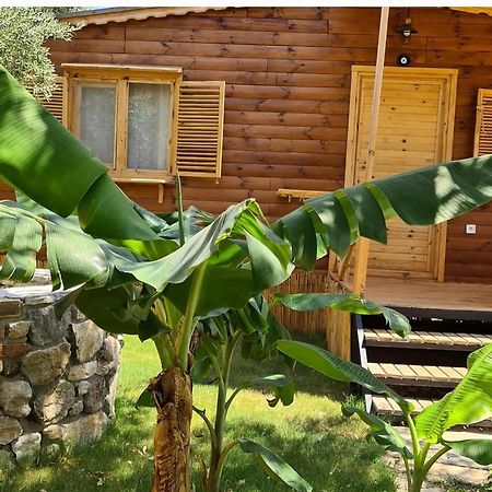 Derin Tas-Bungalow Датча Экстерьер фото