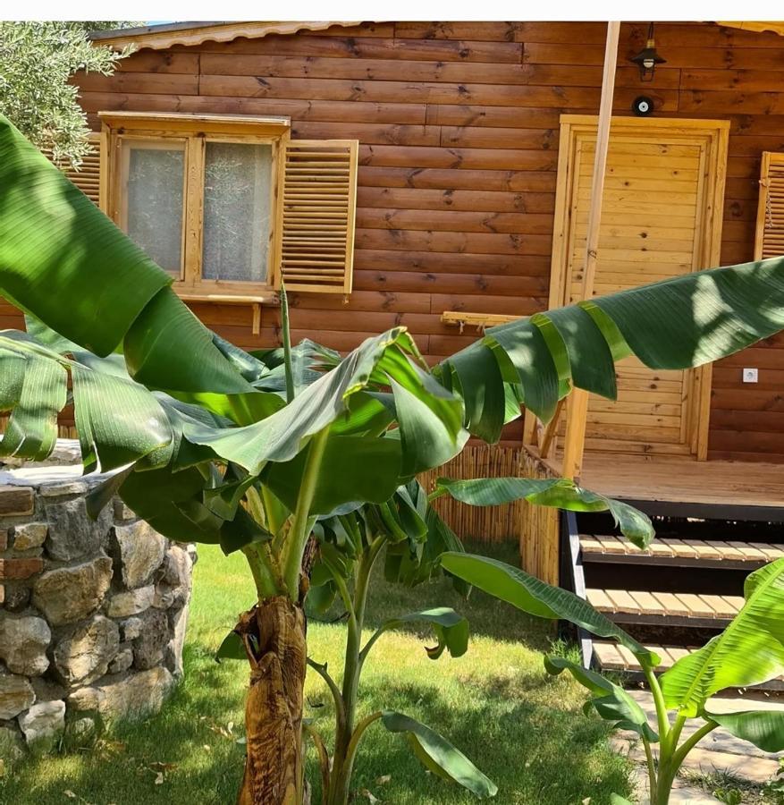 Derin Tas-Bungalow Датча Экстерьер фото